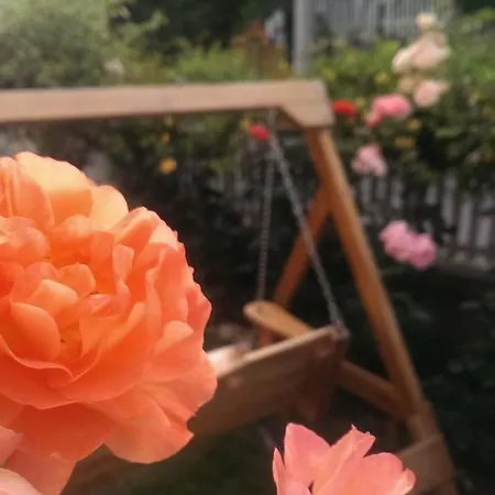 Apartment Rose Sarajevo